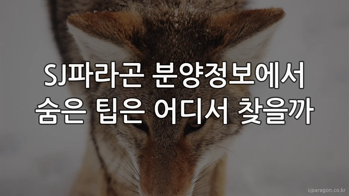 SJ파라곤 분양정보에서 숨은 팁은 어디서 찾을까
