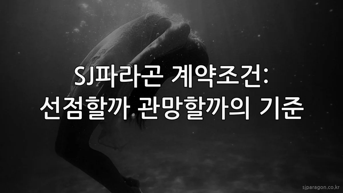 SJ파라곤 계약조건: 선점할까 관망할까의 기준