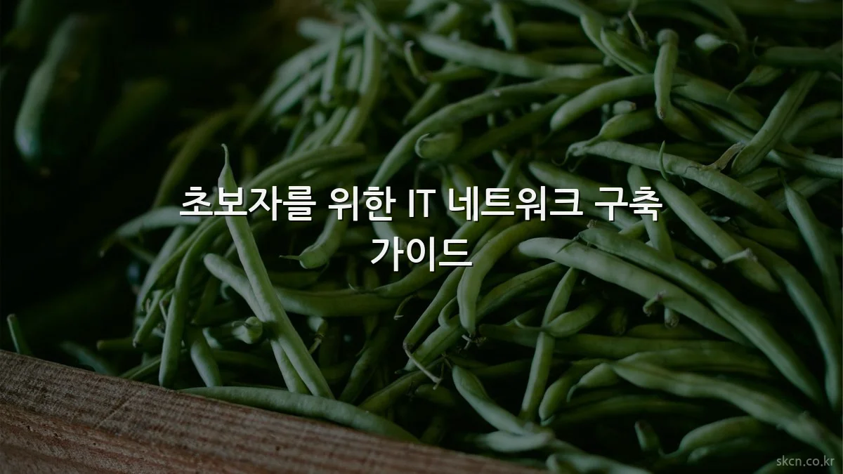 초보자를 위한 IT 네트워크 구축 가이드