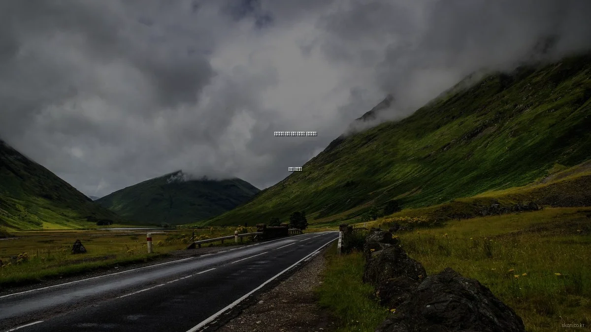 네트워크 구축 기초 가이드: 초보자를 위한 시작점