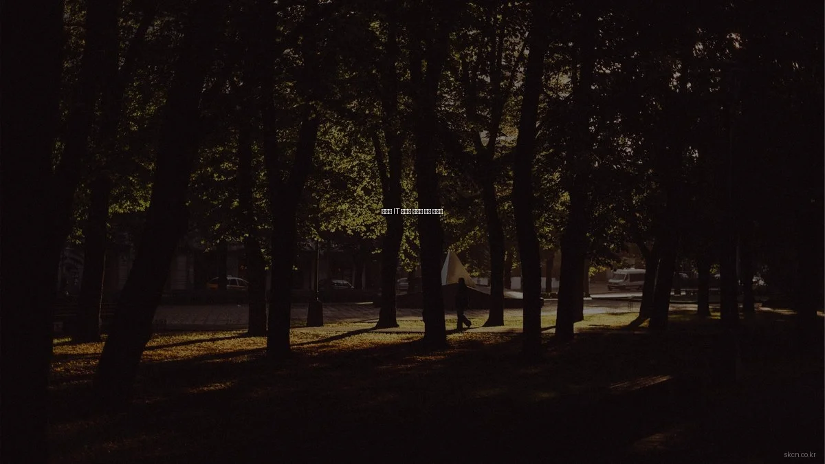 예산별 IT 인프라 솔루션 추천 가이드