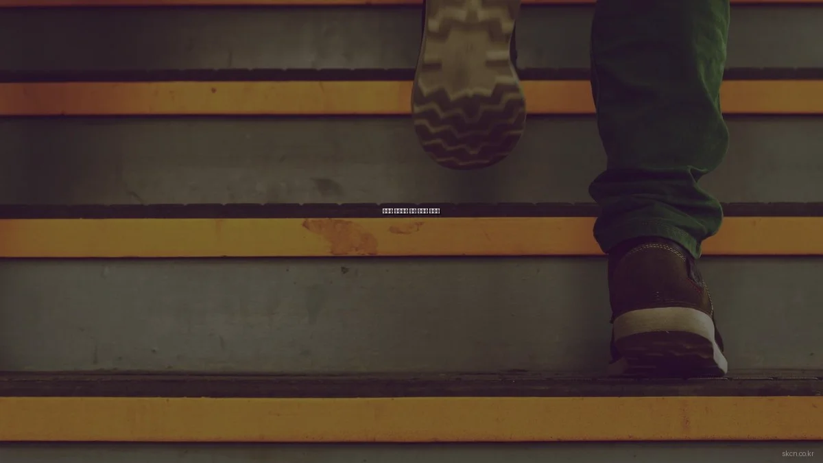 예산별 네트워크 구축 솔루션 가이드