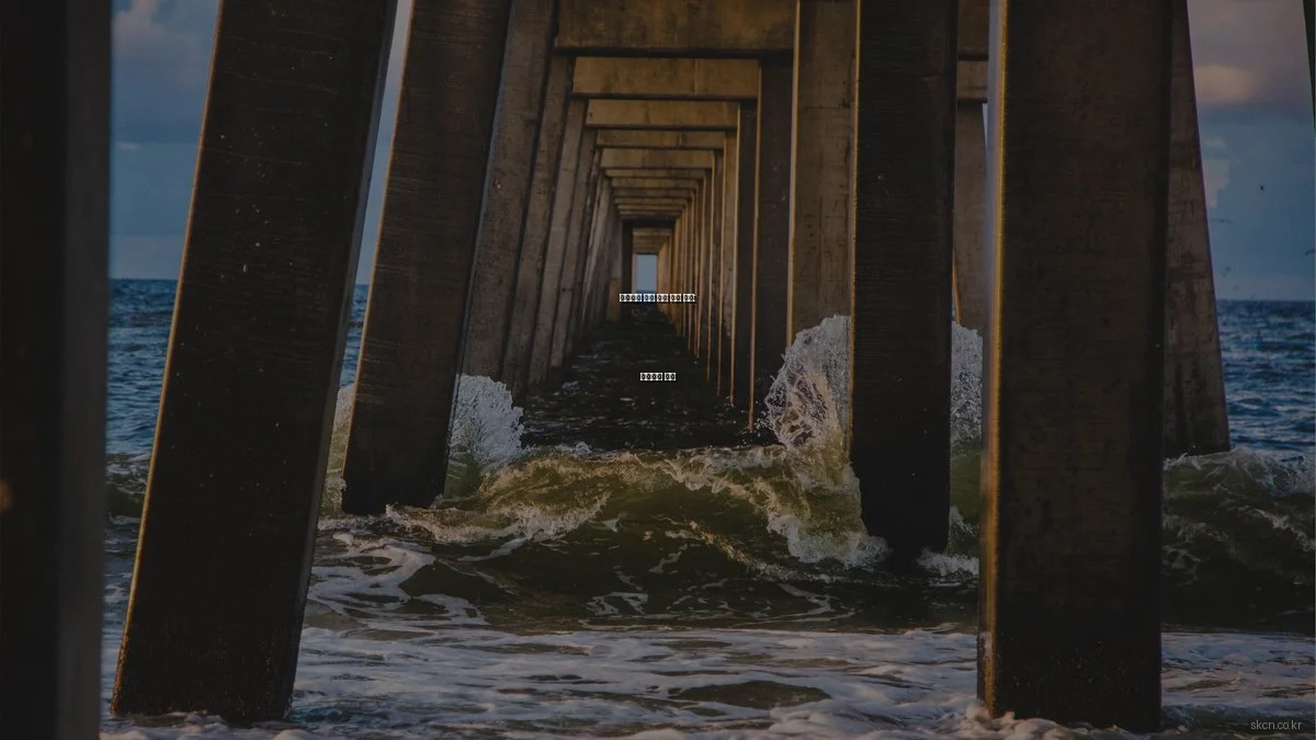 네트워크 구축 실전 사용 후기: 장단점과 꿀팁