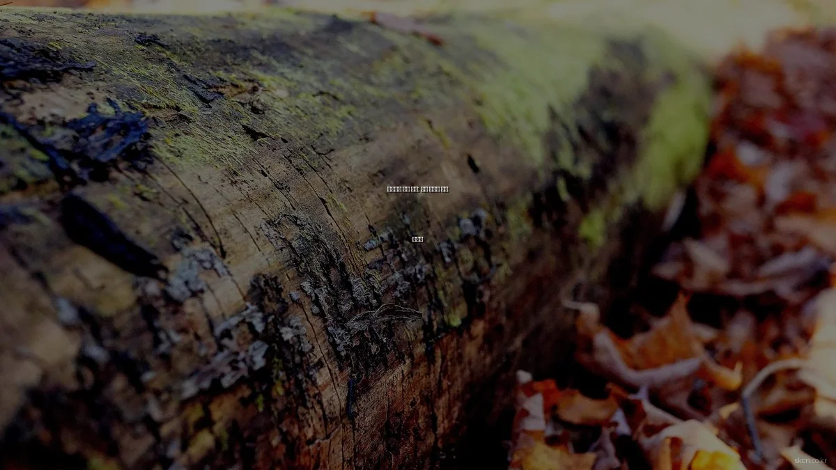 네트워크 문제 해결: 흔한 오류와 실수 피하기