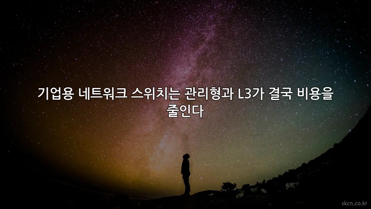 기업용 네트워크 스위치는 관리형과 L3가 결국 비용을 줄인다