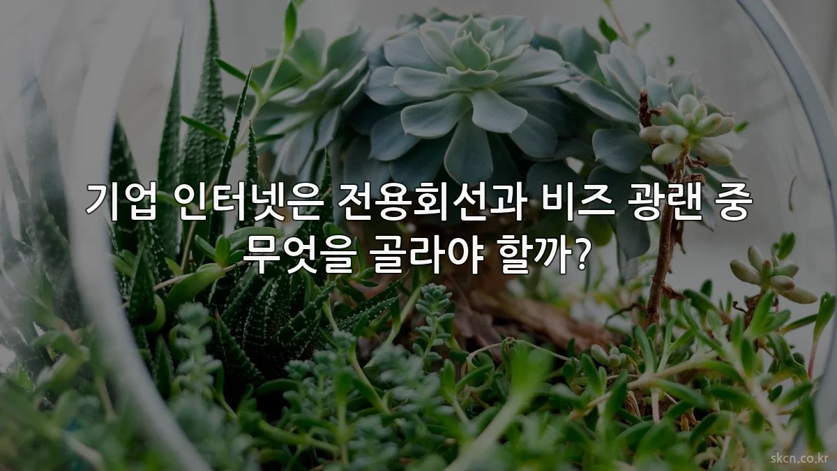 기업 인터넷은 전용회선과 비즈 광랜 중 무엇을 골라야 할까?