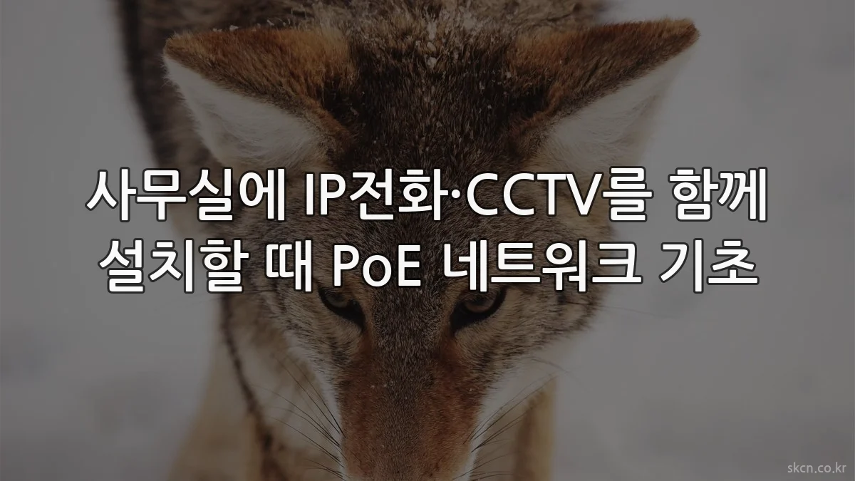 사무실에 IP전화·CCTV를 함께 설치할 때 PoE 네트워크 기초