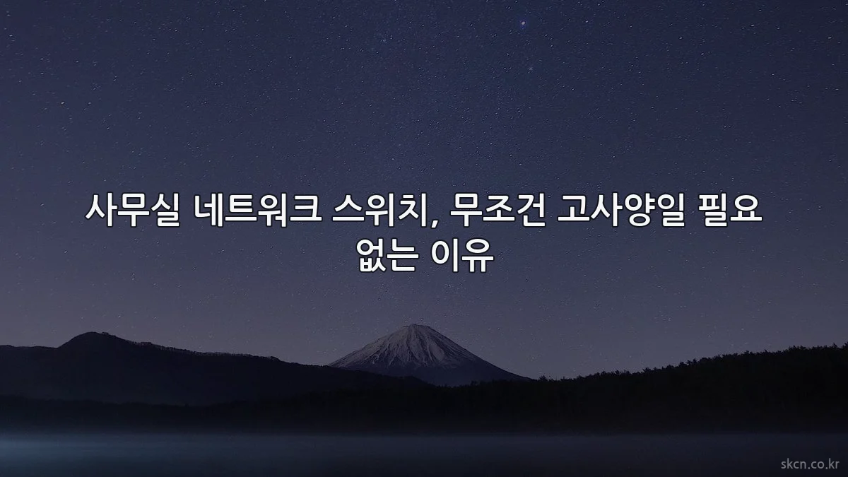 사무실 네트워크 스위치, 무조건 고사양일 필요 없는 이유