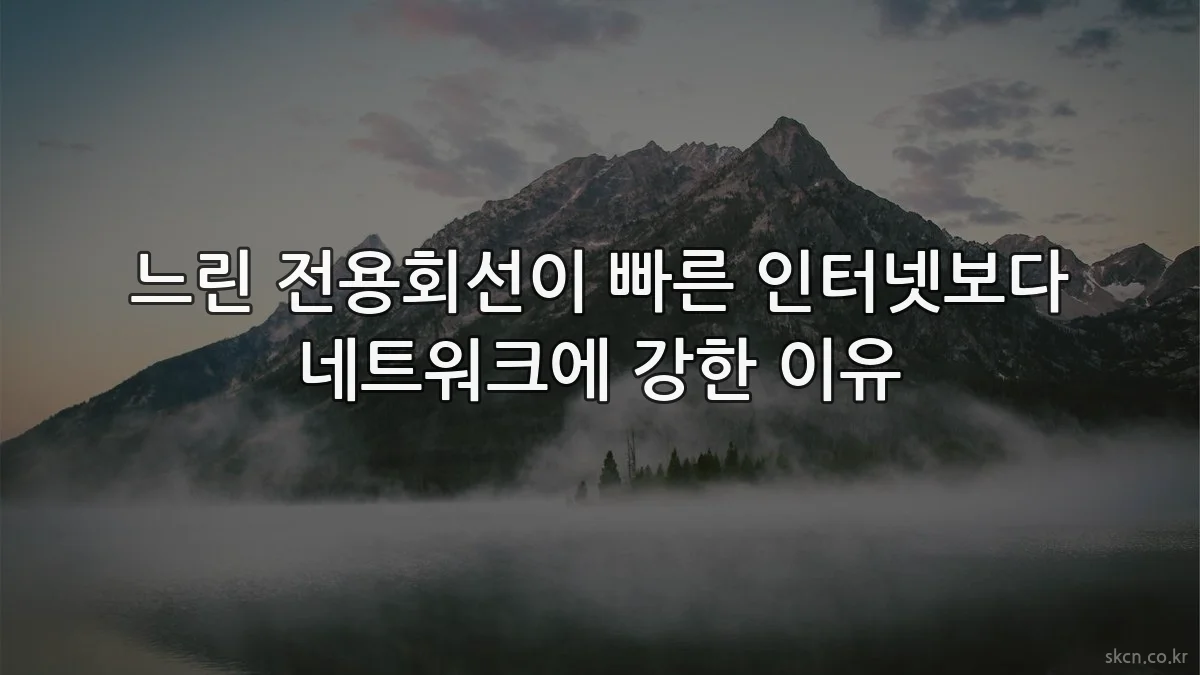 느린 전용회선이 빠른 인터넷보다 네트워크에 강한 이유