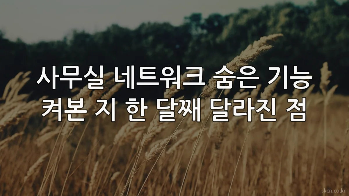 사무실 네트워크 숨은 기능 켜본 지 한 달째 달라진 점