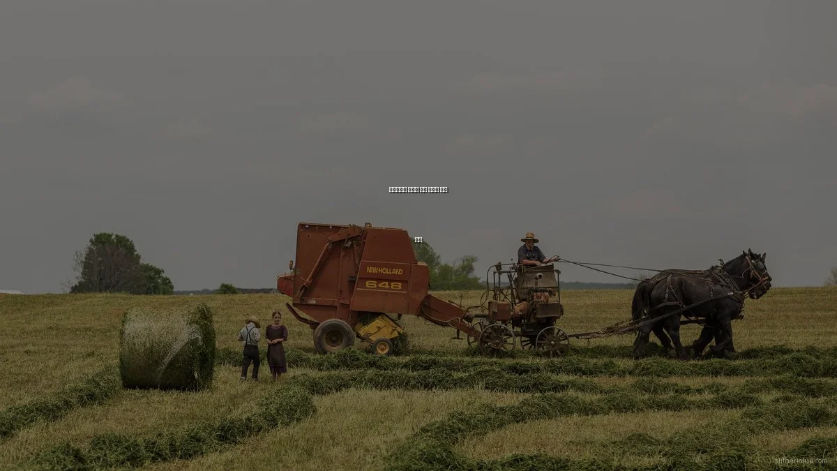 슬리더리오 속도감 있는 플레이 꿀팁 공개