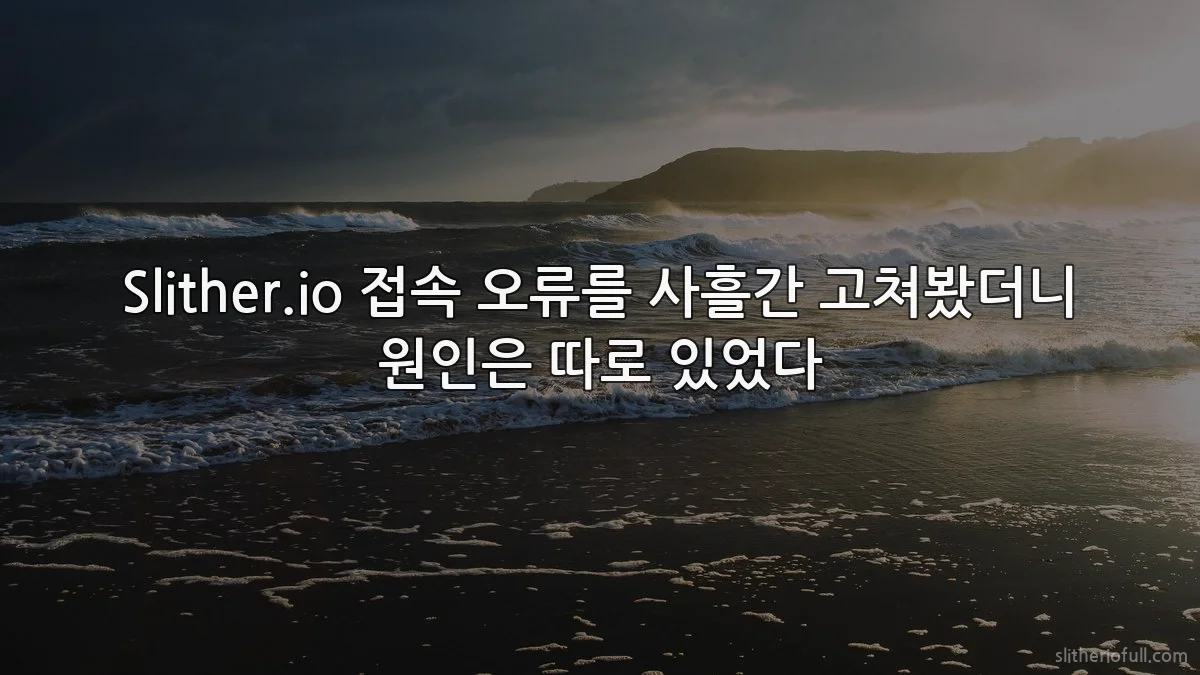Slither.io 접속 오류를 사흘간 고쳐봤더니 원인은 따로 있었다