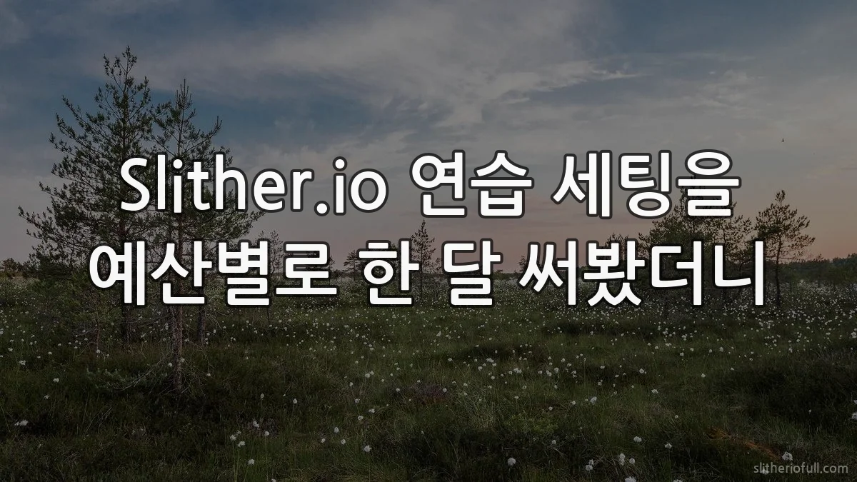 Slither.io 연습 세팅을 예산별로 한 달 써봤더니