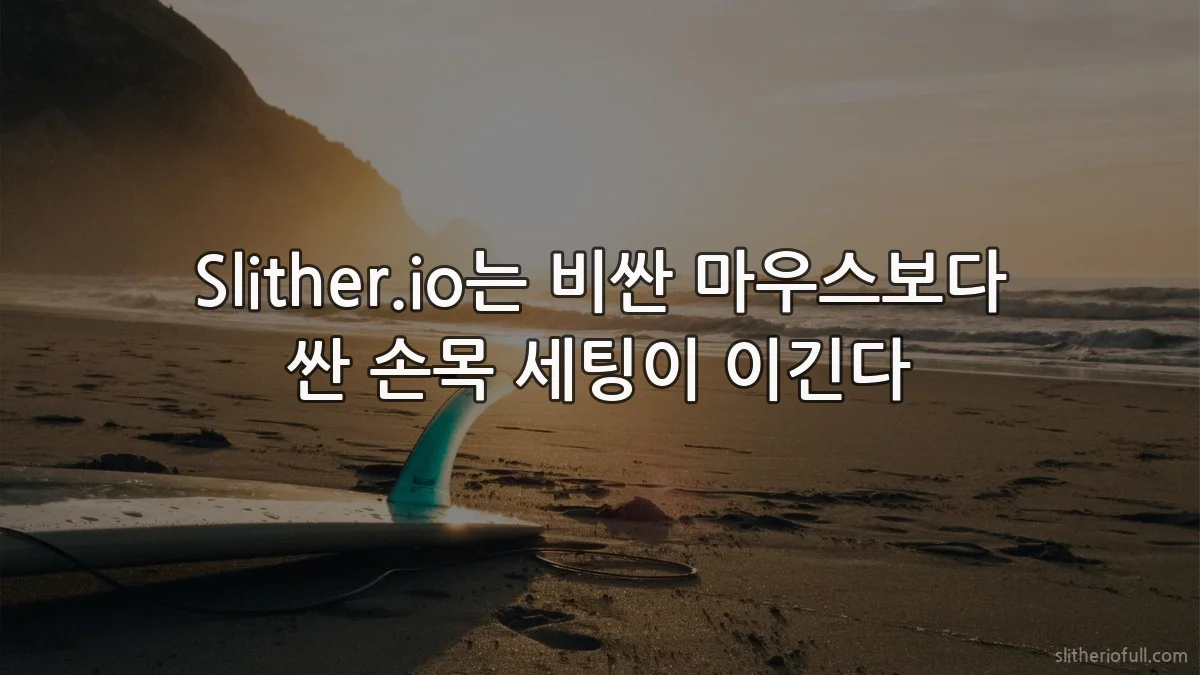 Slither.io는 비싼 마우스보다 싼 손목 세팅이 이긴다