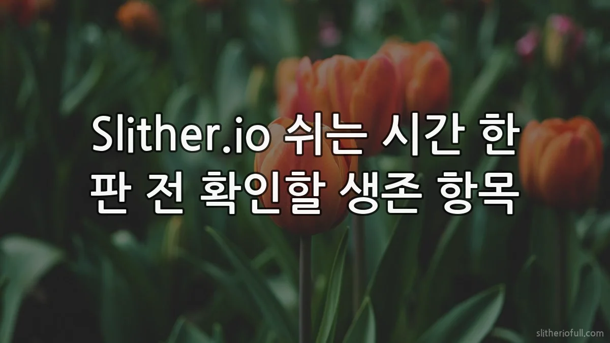 Slither.io 쉬는 시간 한 판 전 확인할 생존 항목