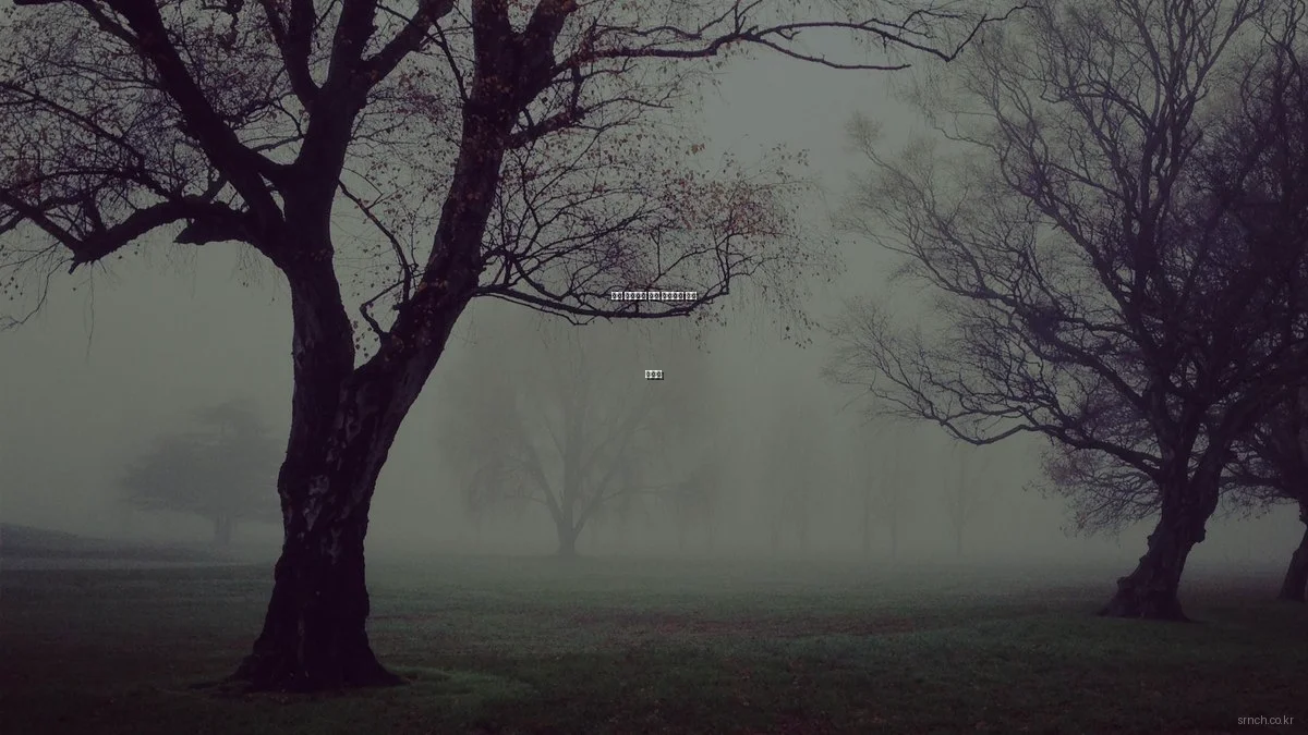 봄철 사회복지 지원 프로그램 활용 가이드