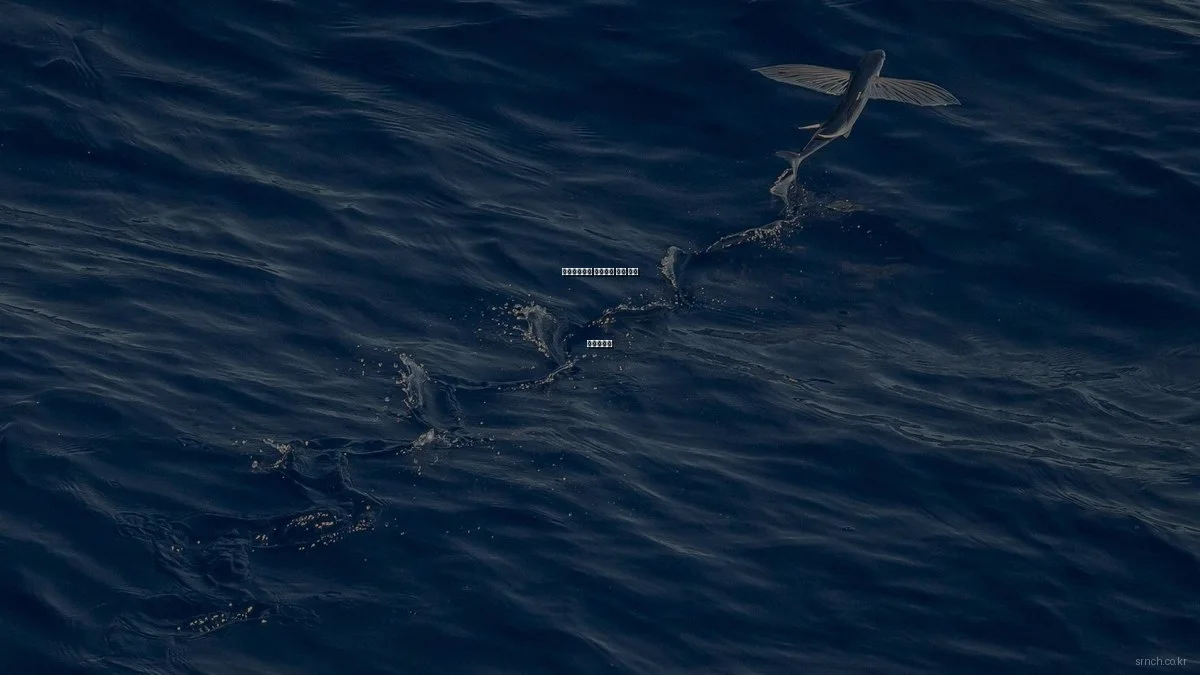 사회복지법인 새로나의 필수 점검 체크리스트