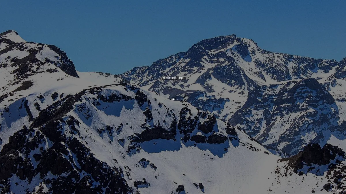 사회복지 초보자를 위한 필수 입문 가이드