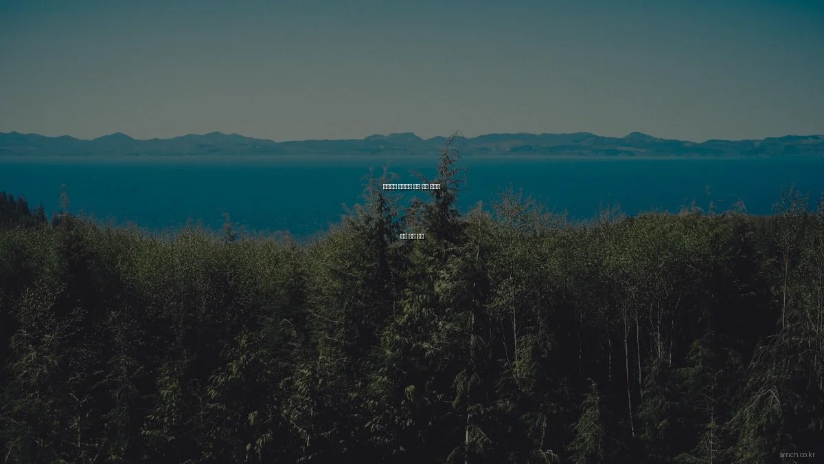 사회복지 초보자를 위한 기초 개념과 자주 묻는 질문