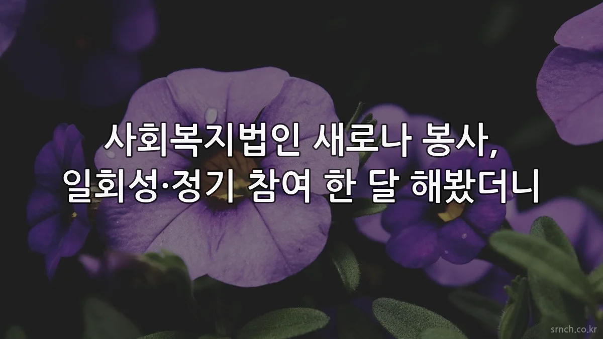 사회복지법인 새로나 봉사, 일회성·정기 참여 한 달 해봤더니