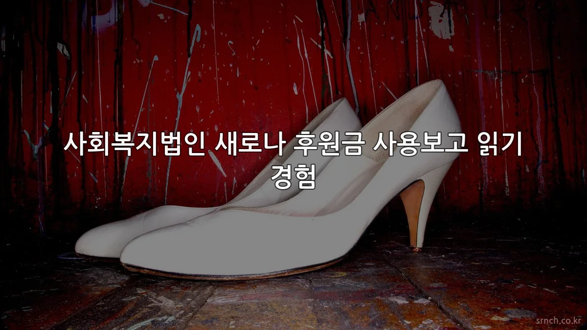 사회복지법인 새로나 후원금 사용보고 읽기 경험