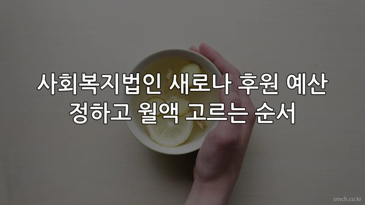 사회복지법인 새로나 후원 예산 정하고 월액 고르는 순서