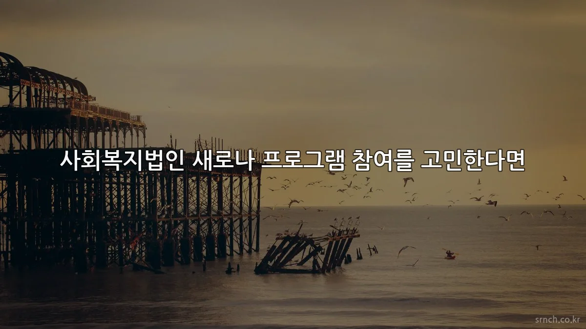 사회복지법인 새로나 프로그램 참여를 고민한다면