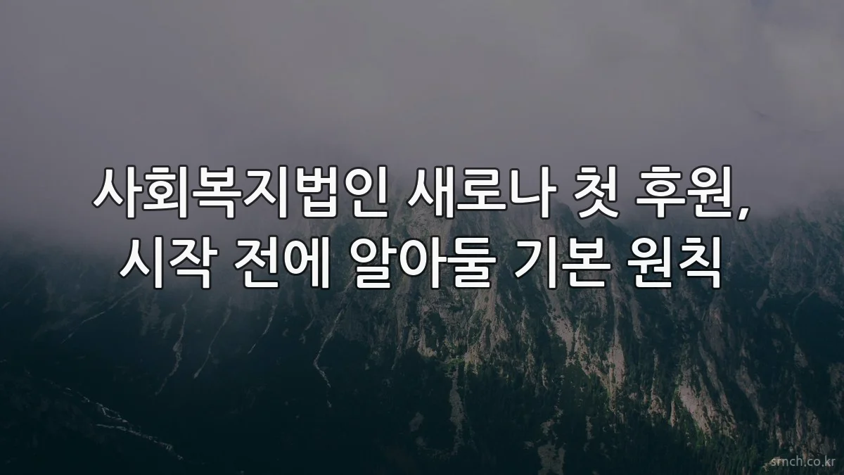 사회복지법인 새로나 첫 후원, 시작 전에 알아둘 기본 원칙