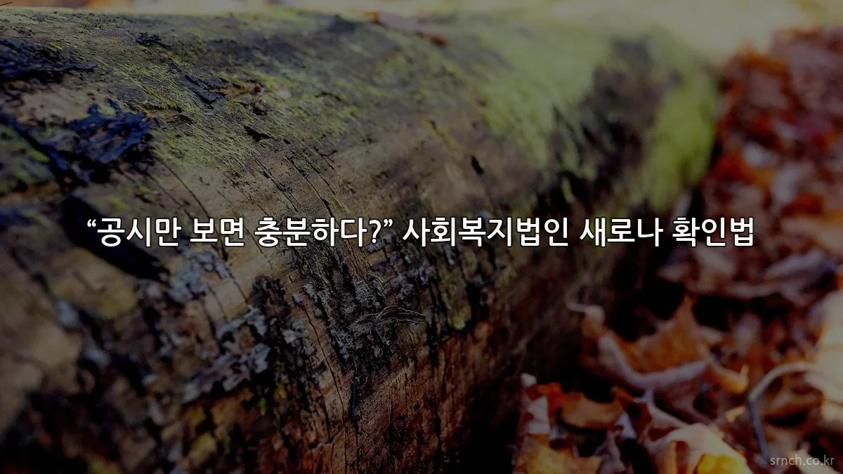 “공시만 보면 충분하다?” 사회복지법인 새로나 확인법