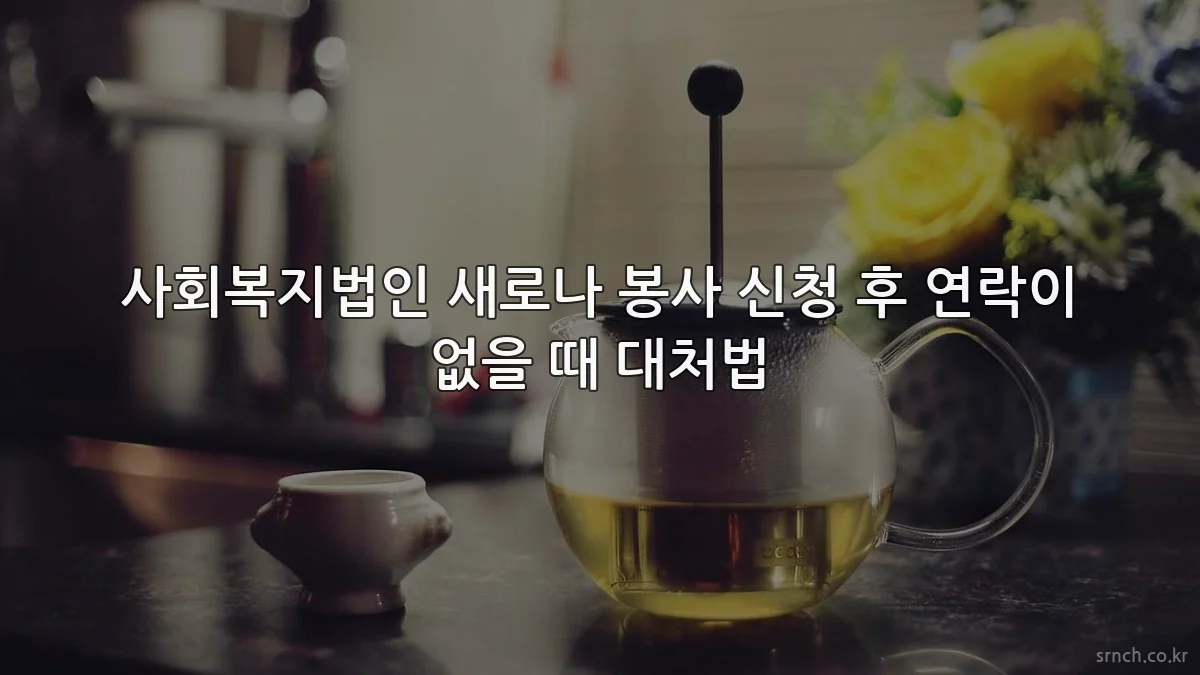 사회복지법인 새로나 봉사 신청 후 연락이 없을 때 대처법