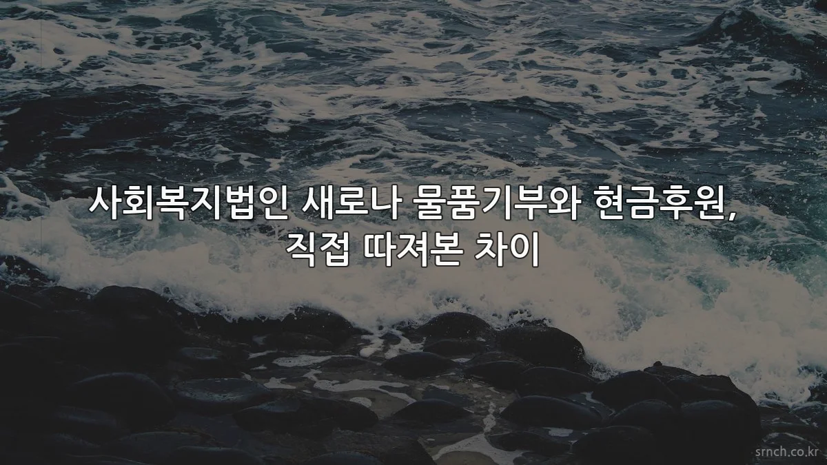 사회복지법인 새로나 물품기부와 현금후원, 직접 따져본 차이