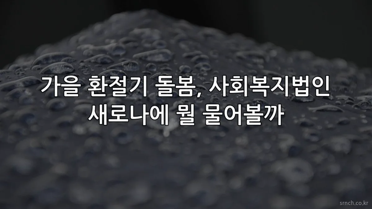 가을 환절기 돌봄, 사회복지법인 새로나에 뭘 물어볼까