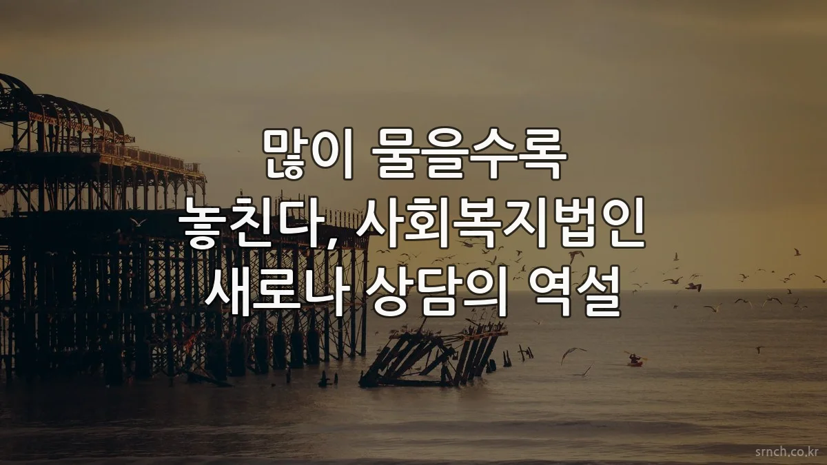 많이 물을수록 놓친다, 사회복지법인 새로나 상담의 역설