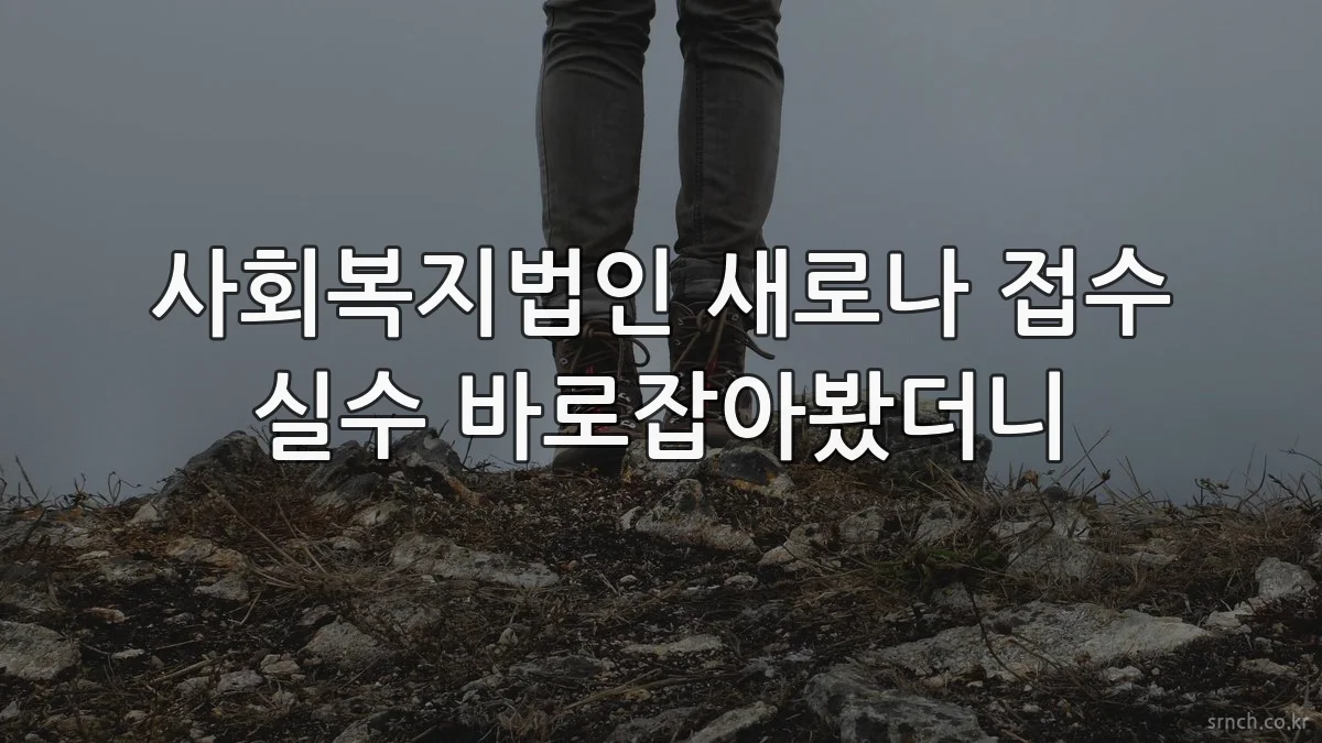 사회복지법인 새로나 접수 실수 바로잡아봤더니