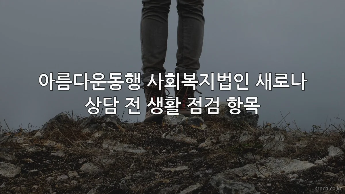 아름다운동행 사회복지법인 새로나 상담 전 생활 점검 항목