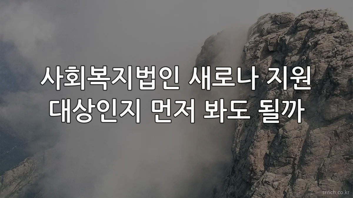 사회복지법인 새로나 지원 대상인지 먼저 봐도 될까