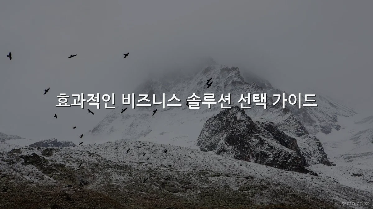 효과적인 비즈니스 솔루션 선택 가이드