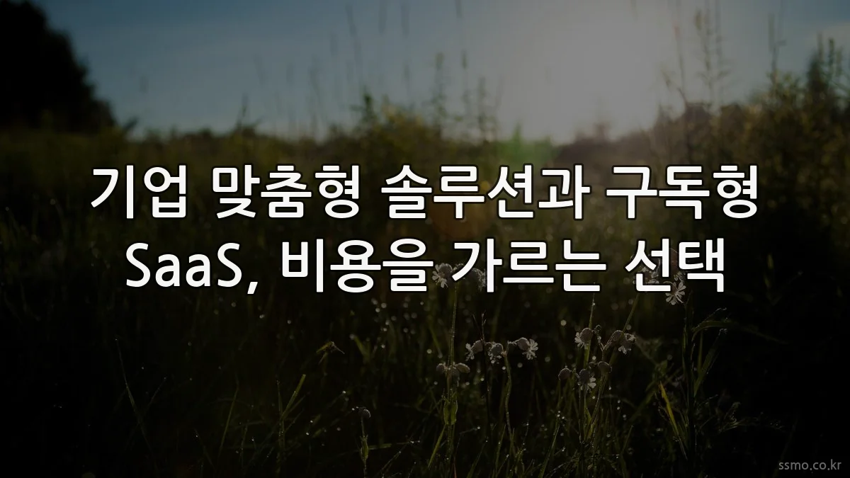 기업 맞춤형 솔루션과 구독형 SaaS, 비용을 가르는 선택