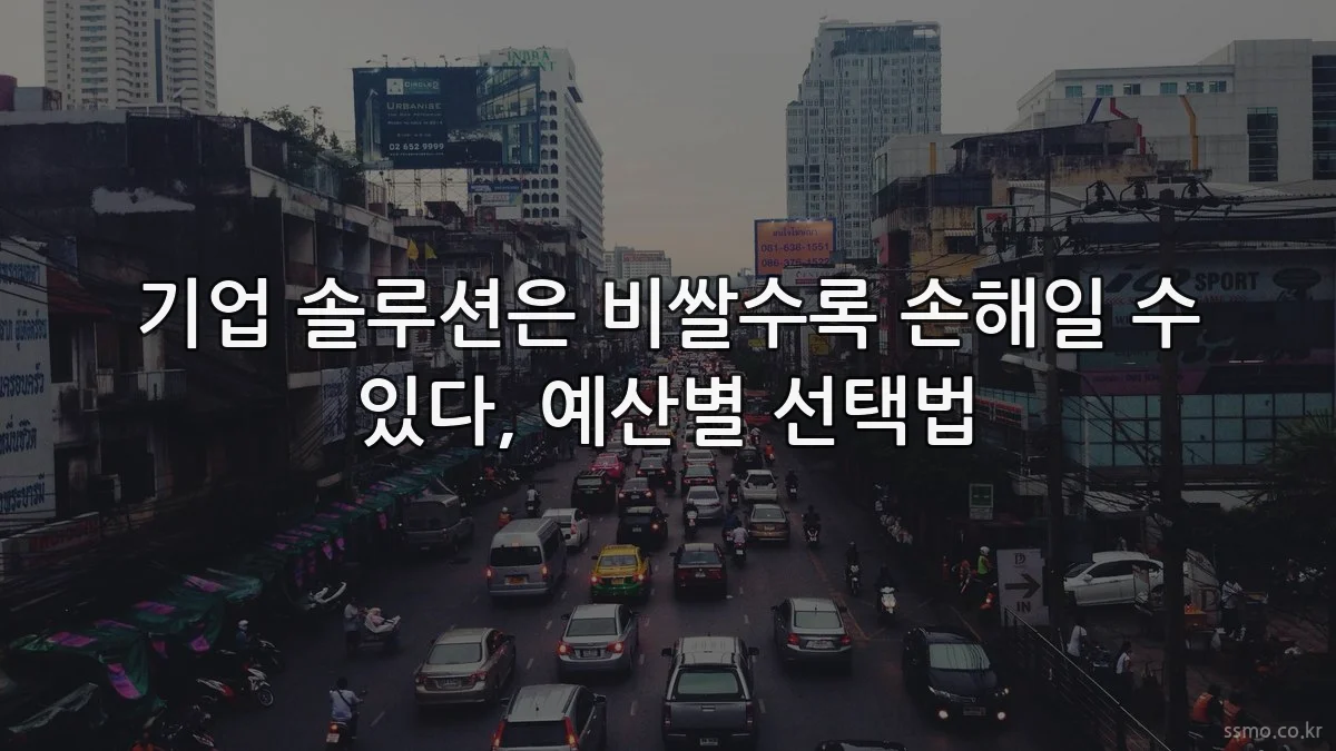 기업 솔루션은 비쌀수록 손해일 수 있다, 예산별 선택법