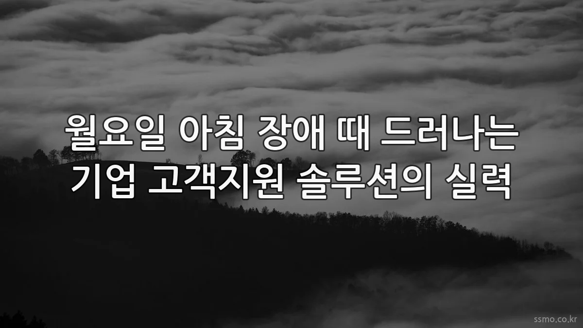 월요일 아침 장애 때 드러나는 기업 고객지원 솔루션의 실력