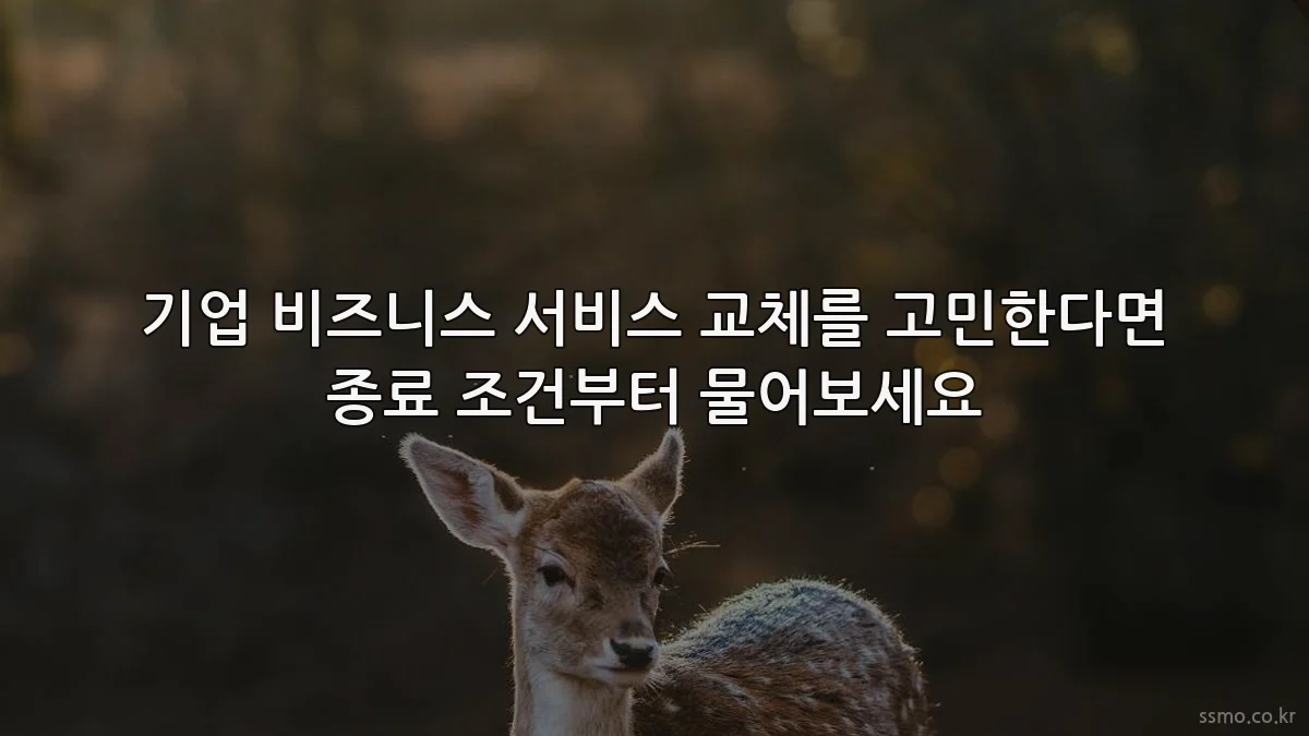 기업 비즈니스 서비스 교체를 고민한다면 종료 조건부터 물어보세요