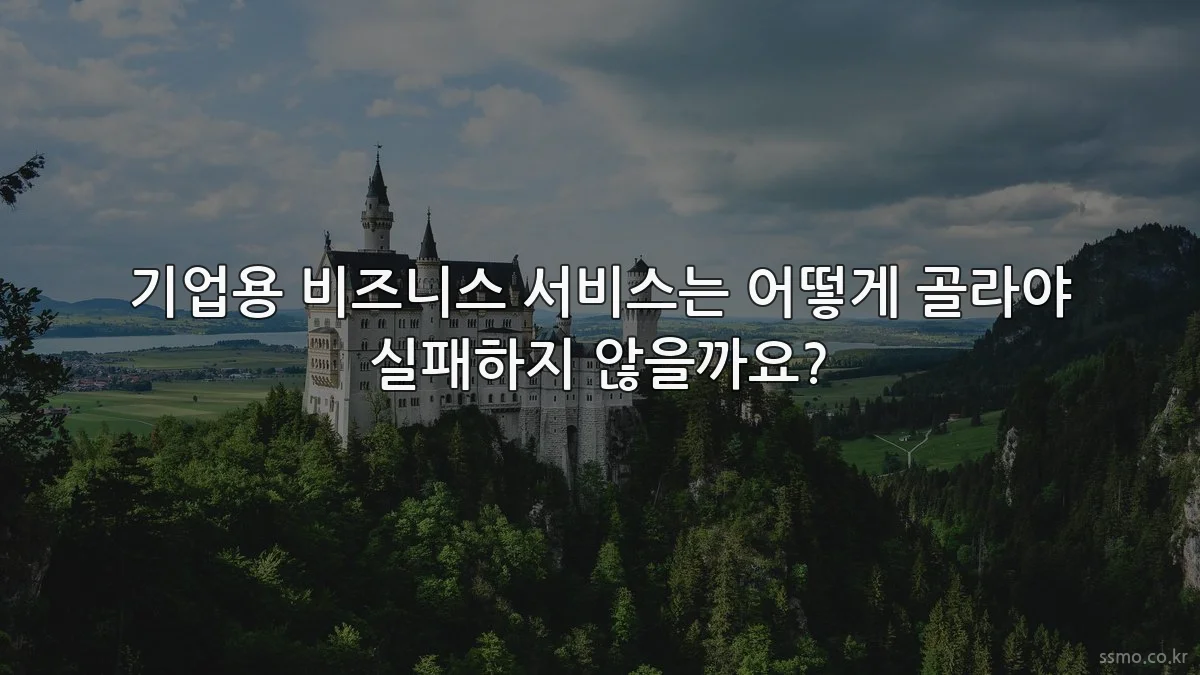 기업용 비즈니스 서비스는 어떻게 골라야 실패하지 않을까요?