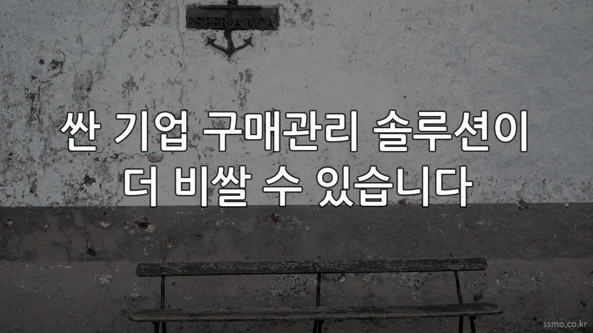 싼 기업 구매관리 솔루션이 더 비쌀 수 있습니다