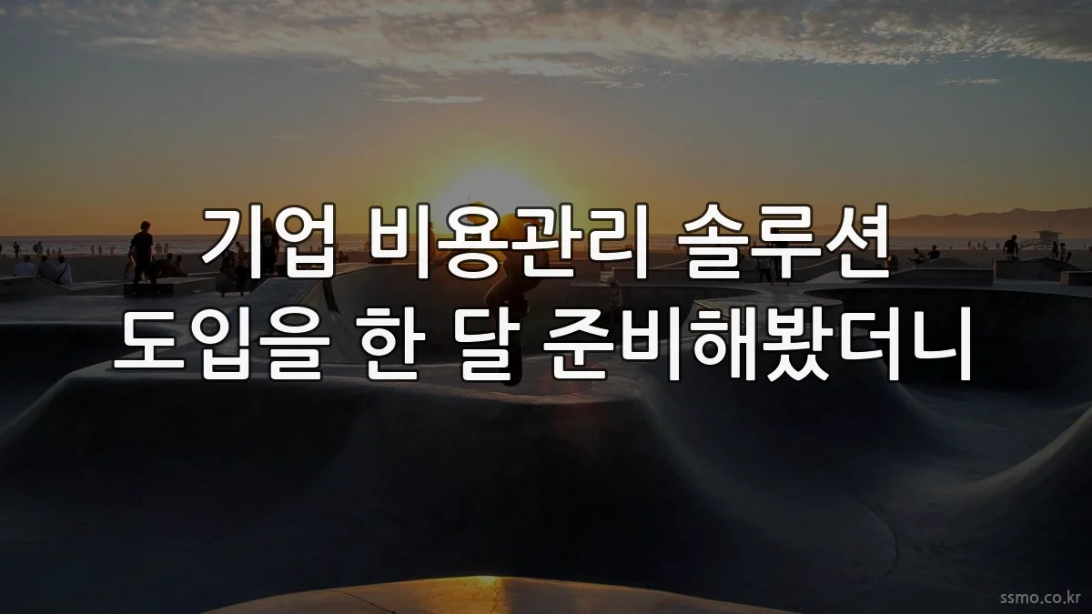 기업 비용관리 솔루션 도입을 한 달 준비해봤더니
