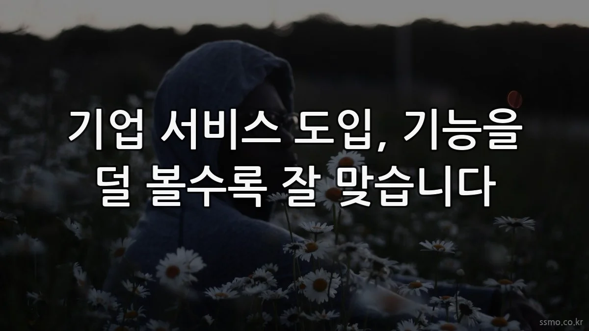 기업 서비스 도입, 기능을 덜 볼수록 잘 맞습니다