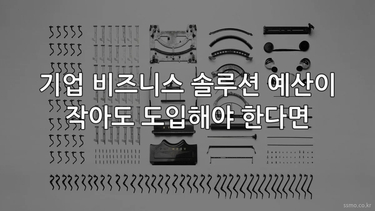 기업 비즈니스 솔루션 예산이 작아도 도입해야 한다면