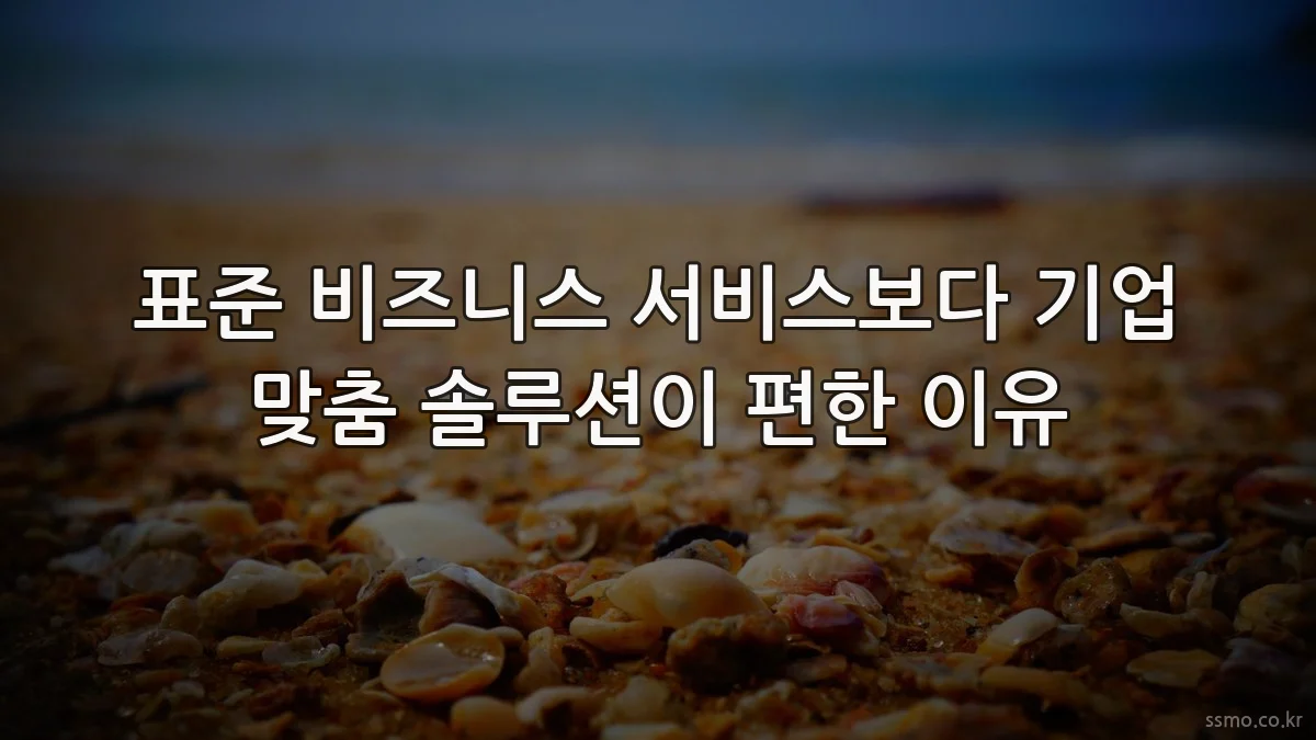 표준 비즈니스 서비스보다 기업 맞춤 솔루션이 편한 이유