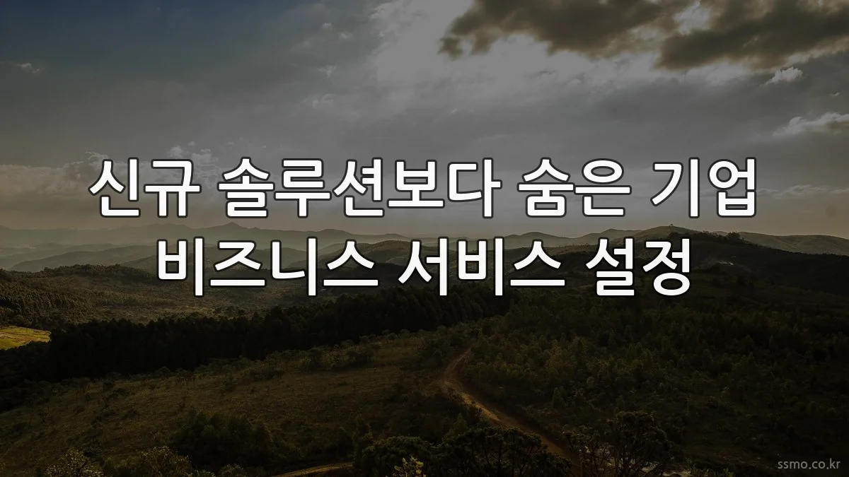 신규 솔루션보다 숨은 기업 비즈니스 서비스 설정