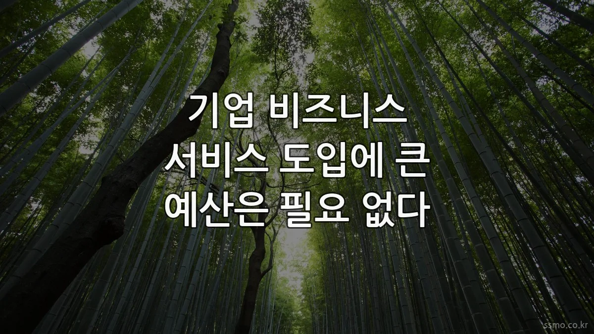 기업 비즈니스 서비스 도입에 큰 예산은 필요 없다