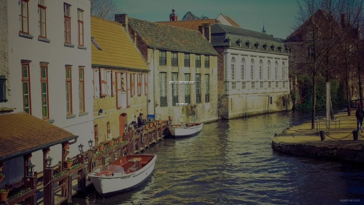 수자인 SE 아파트 전문가 인터뷰: 분양 전략과 이점